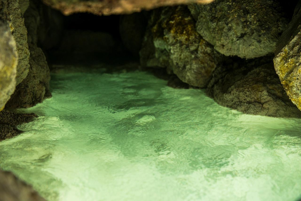 Takamiya Ryokan Miyamaso Yamagata  Exteriör bild
